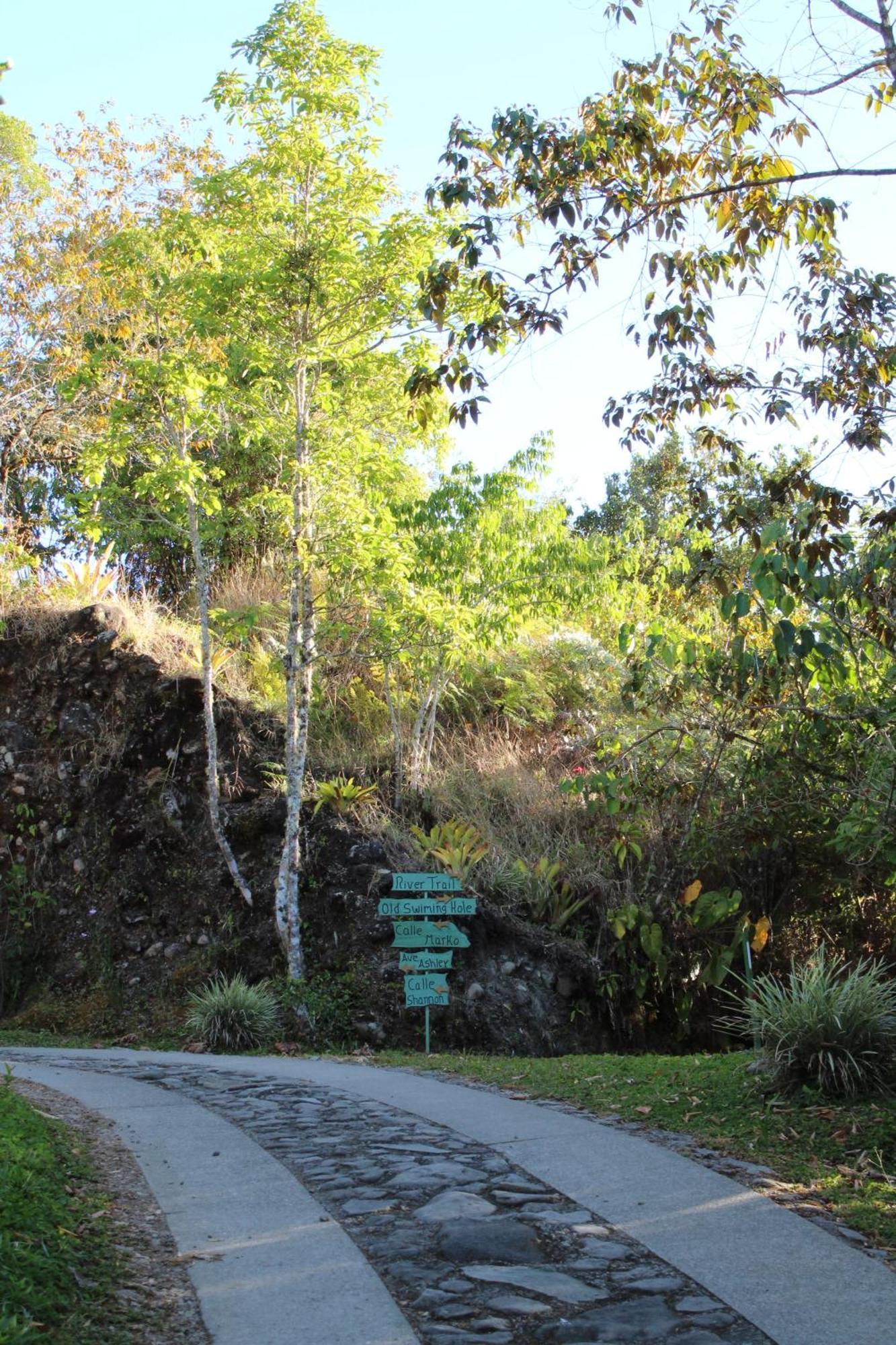 Talamanca Nature Reserve Rivas Exteriér fotografie