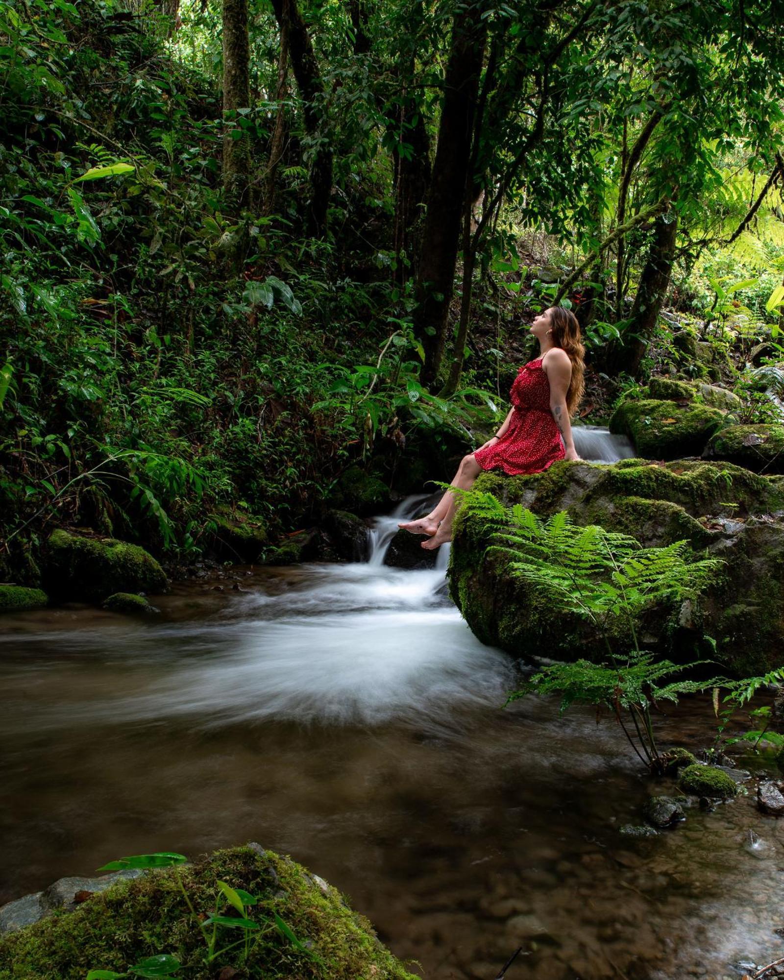 Talamanca Nature Reserve Rivas Exteriér fotografie
