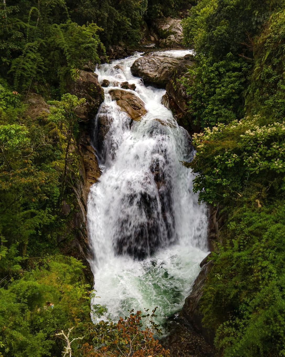 Talamanca Nature Reserve Rivas Exteriér fotografie