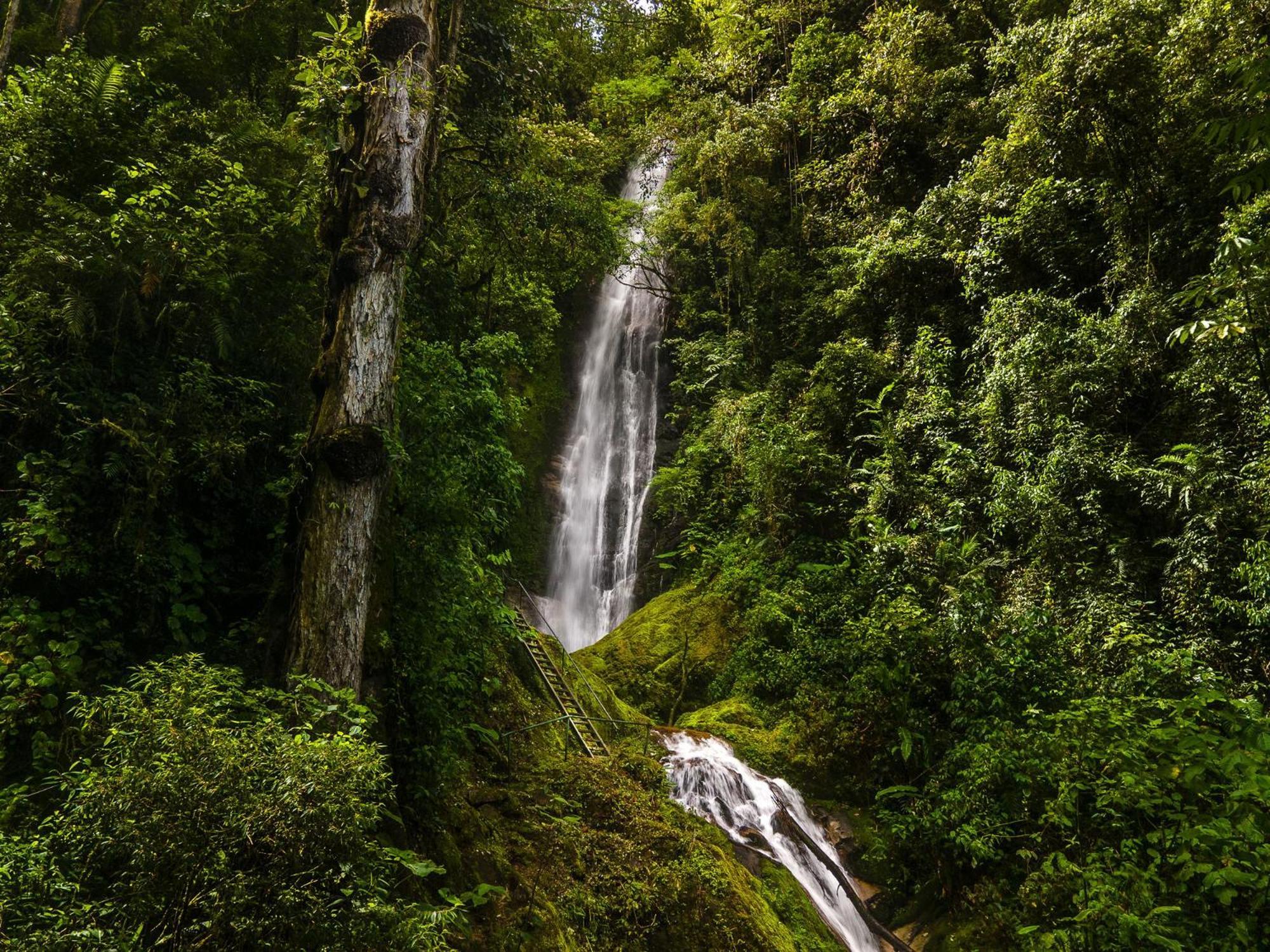 Talamanca Nature Reserve Rivas Exteriér fotografie
